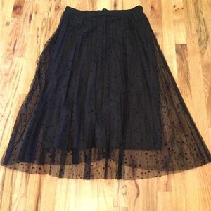 Ann Taylor Sheer Skirt New With Tag
